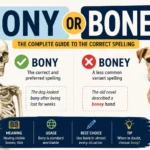 bony-or-boney