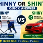 Shinny or Shiny – Quick Answer